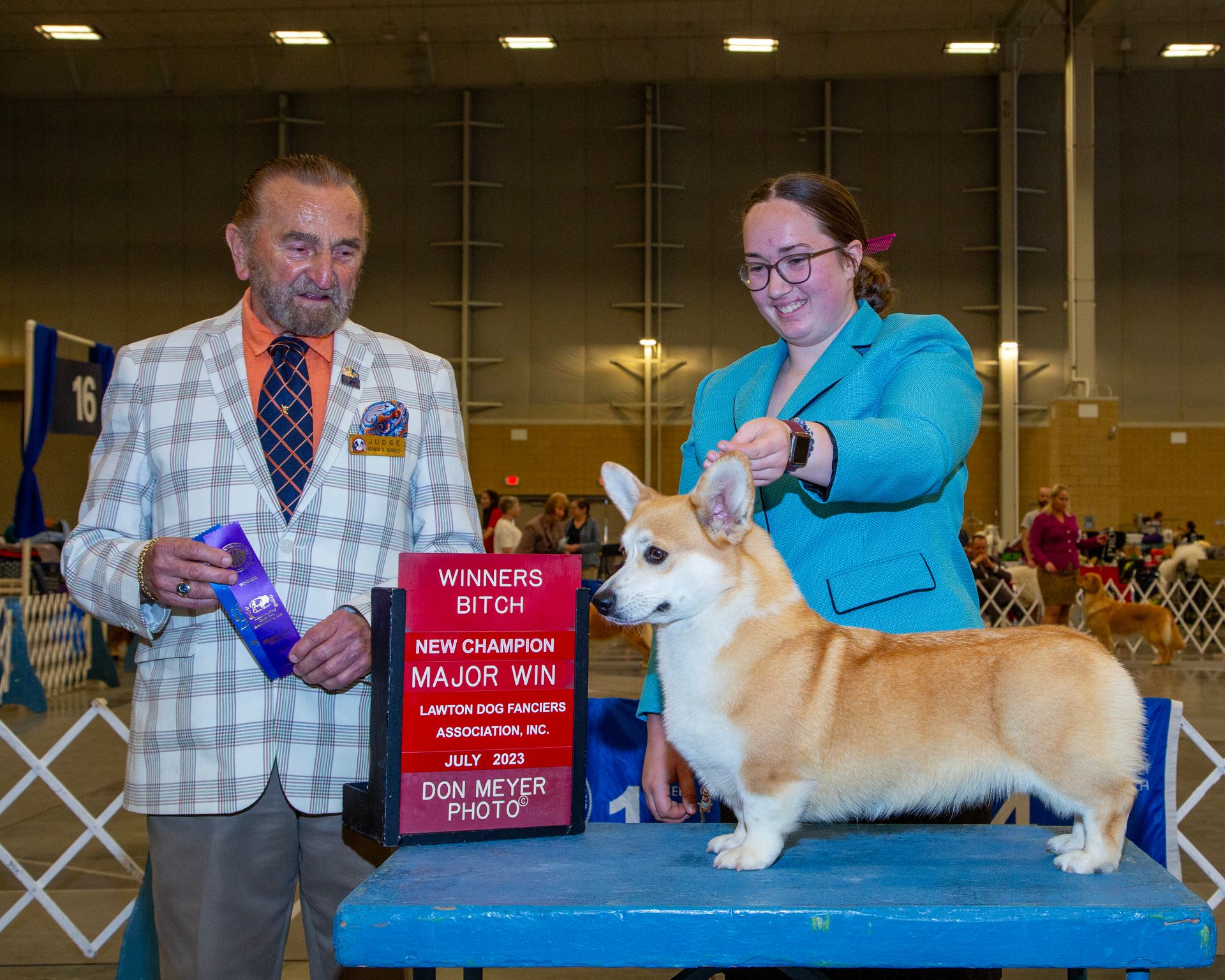 Pembroke or Cardigan Welsh Corgi from F&M Corgis, gallery photo 5 of 23