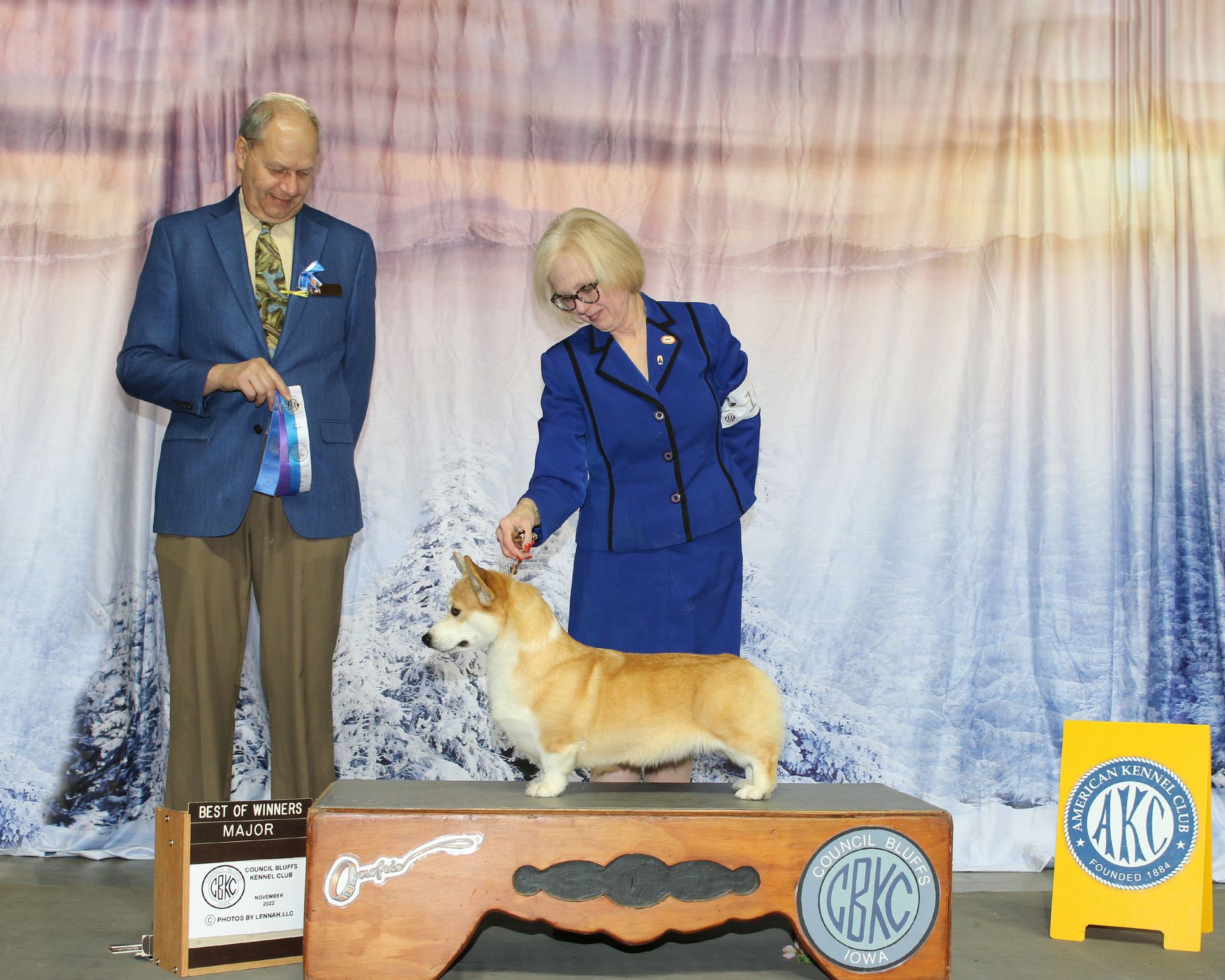 GCH CH Stella, Pembroke Welsh Corgi dam at F&M Corgis, photo 5