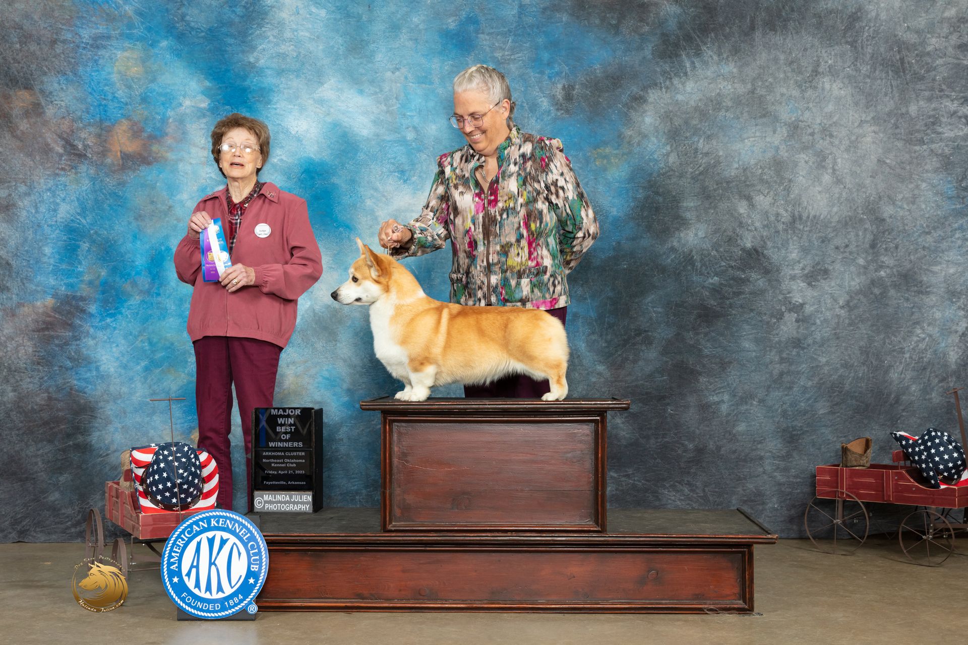 GCH CH Stella, Pembroke Welsh Corgi dam at F&M Corgis, photo 6