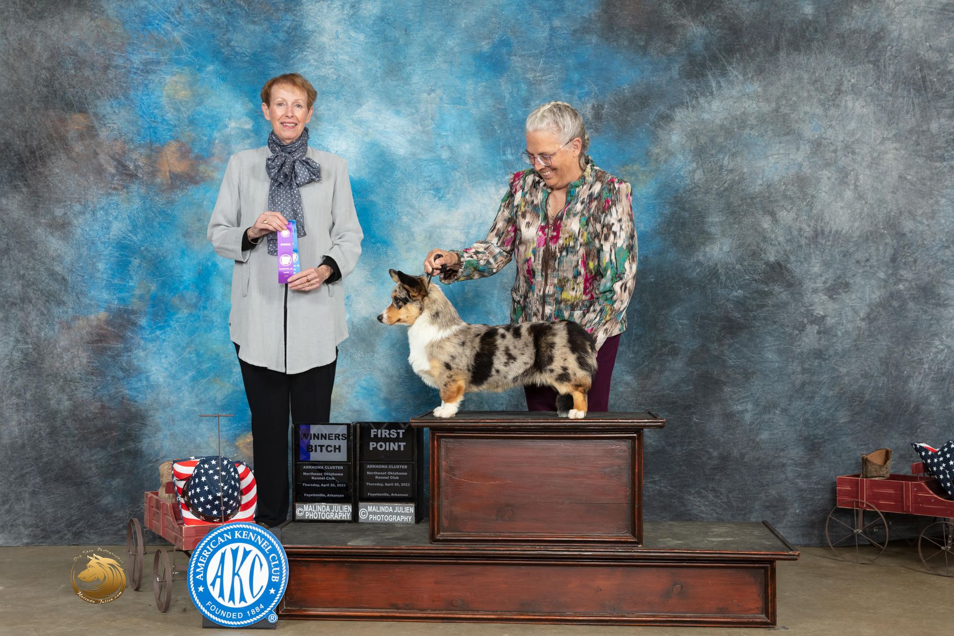 Zoey, Cardigan Welsh Corgi dam at F&M Corgis, photo 3