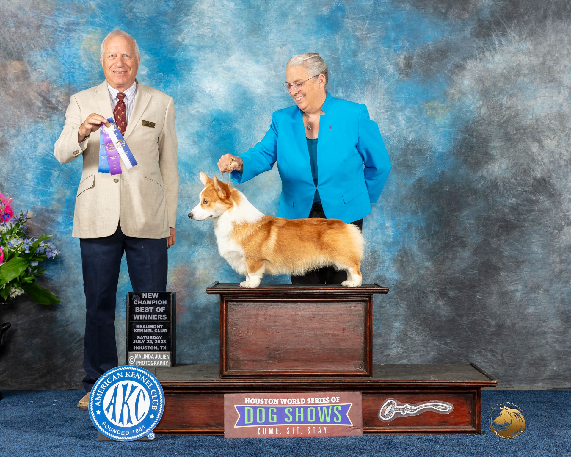 Kenny, Pembroke Welsh Corgi sire at F&M Corgis, photo 5