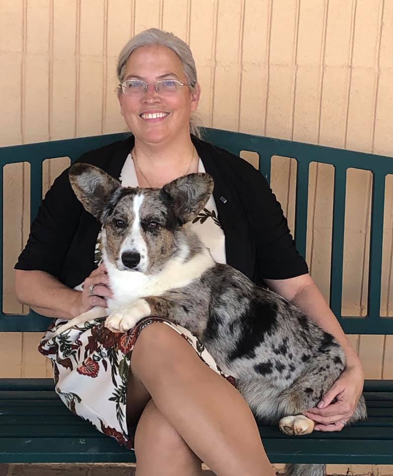 CH F&M's Voodoo Love Spell, Cardigan Welsh Corgi dam at F&M Corgis, photo 3