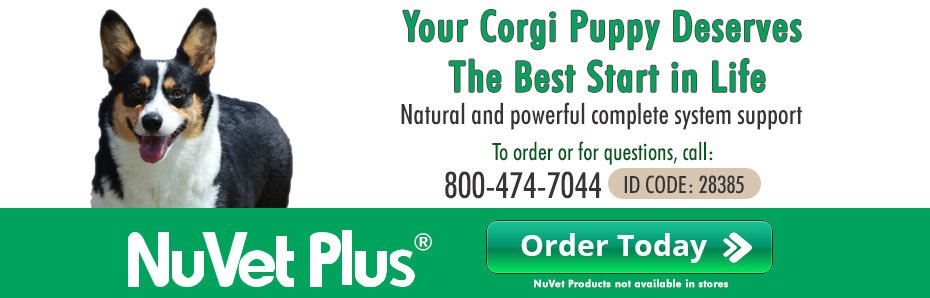NuVet Plus supplements for dogs, recommended by F&M Corgis