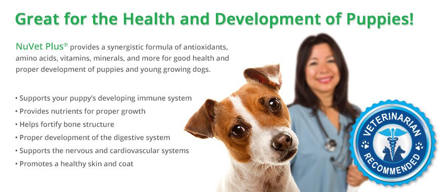 NuVet Plus is vet recommended